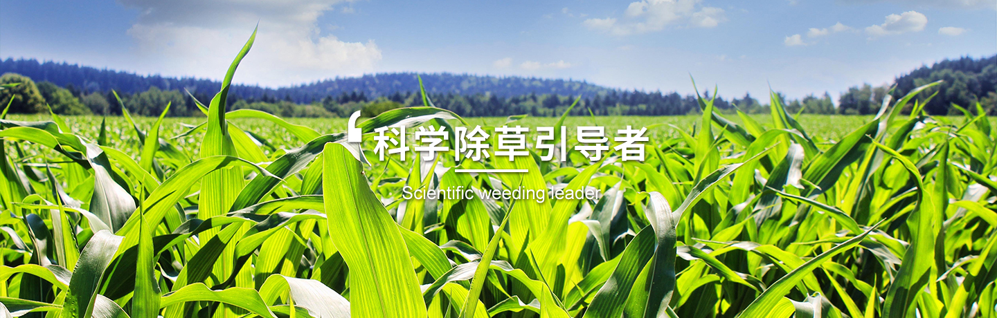 天津經(jīng)作類(lèi)除草劑訂購(gòu)、天津高粱田除草劑