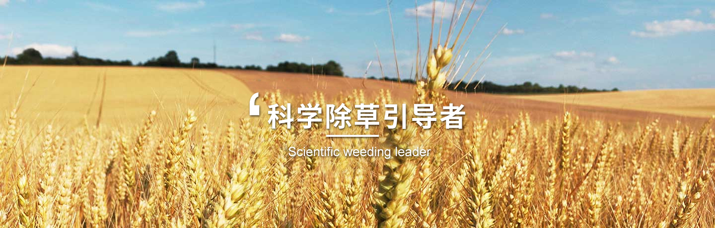天津除草劑生產(chǎn)商、玉米除草劑廠(chǎng)商